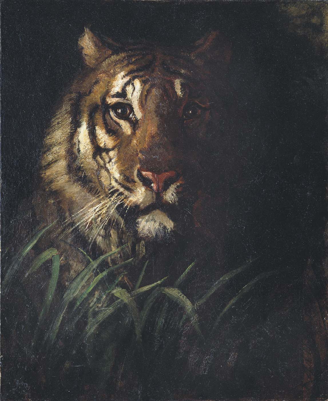 Tiger's Head by Abbott Handerson Thayer