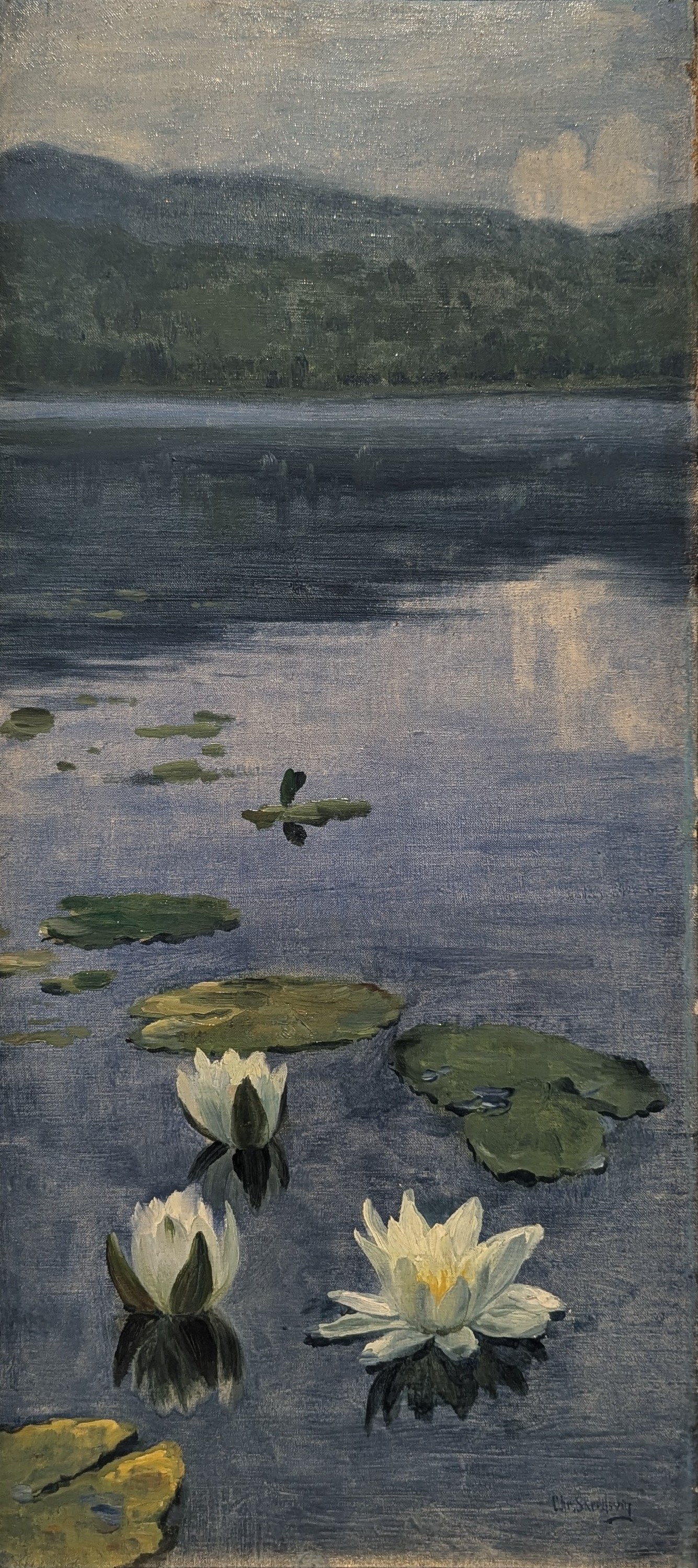 Tjernroser by Christian Skredsvig