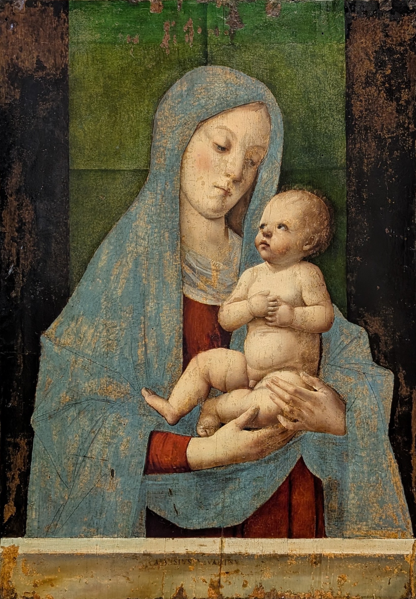 Madonna con bambino by Alvise Vivarini