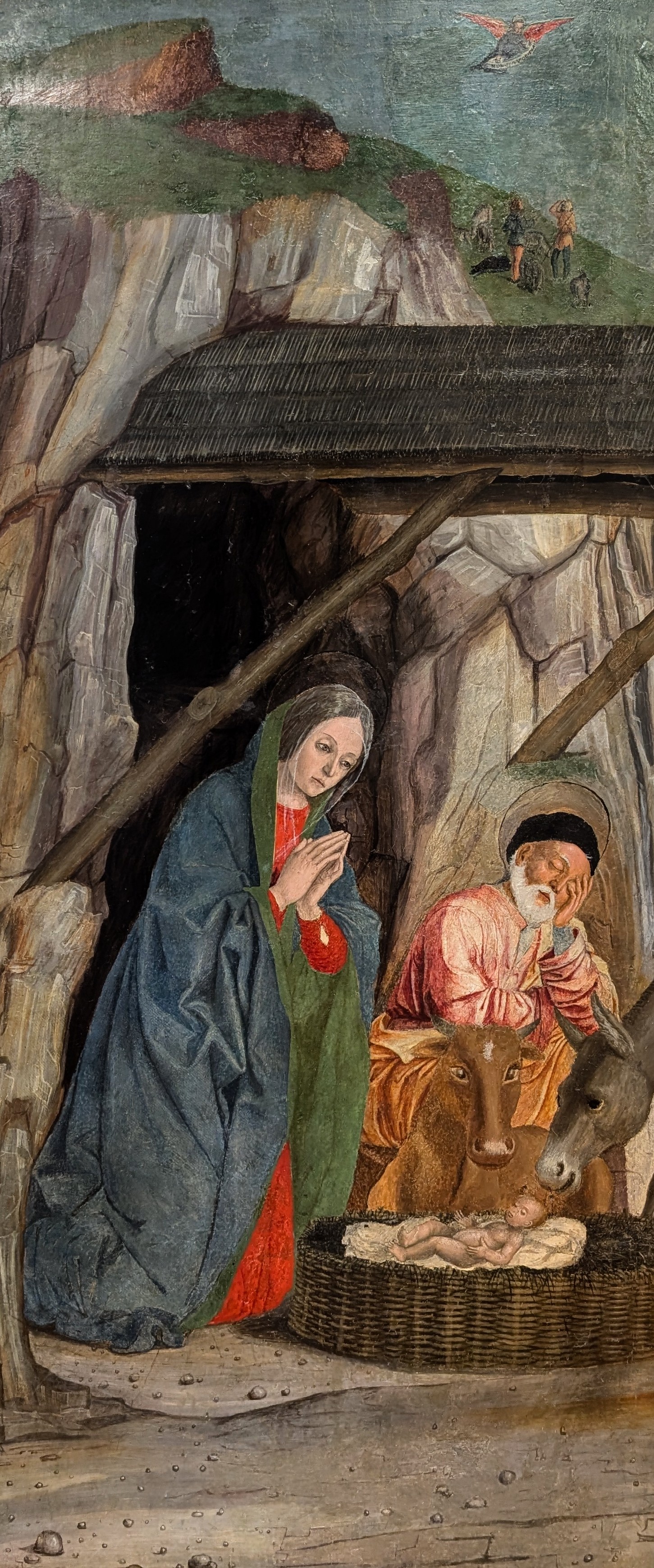 Natività by Francesco Morone