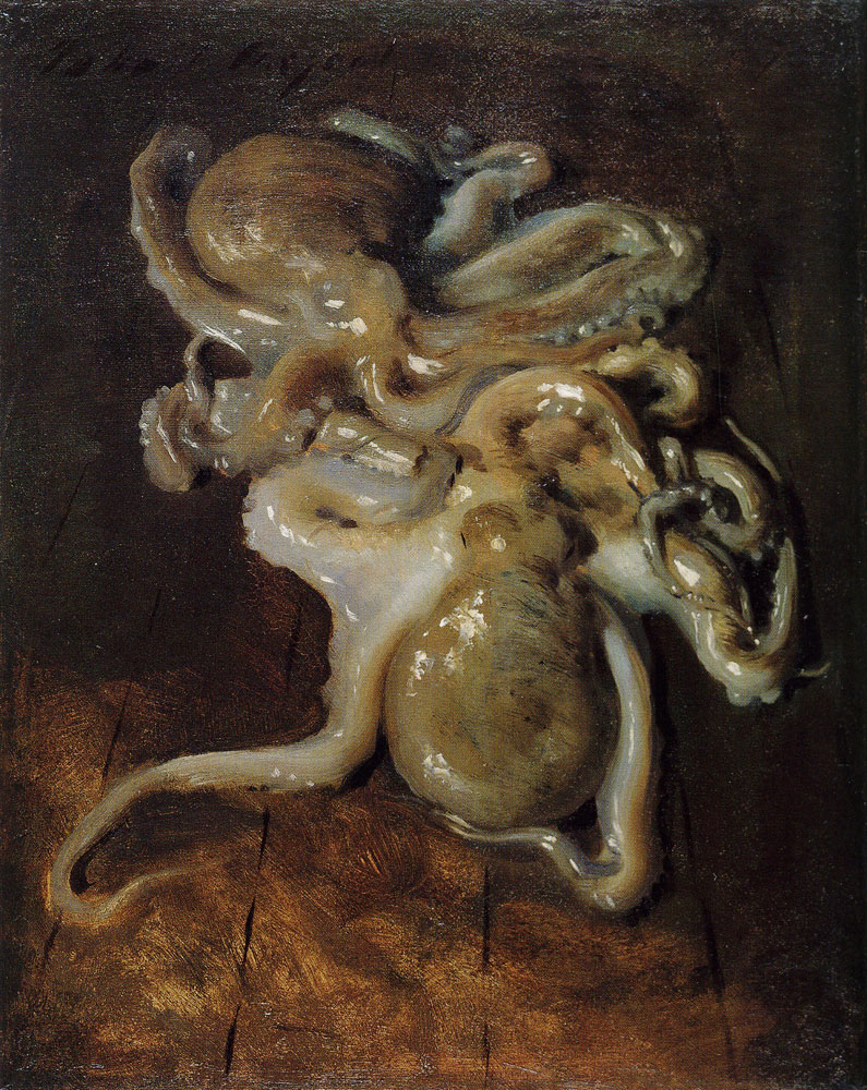 Two Octopi, John Singer Sargent