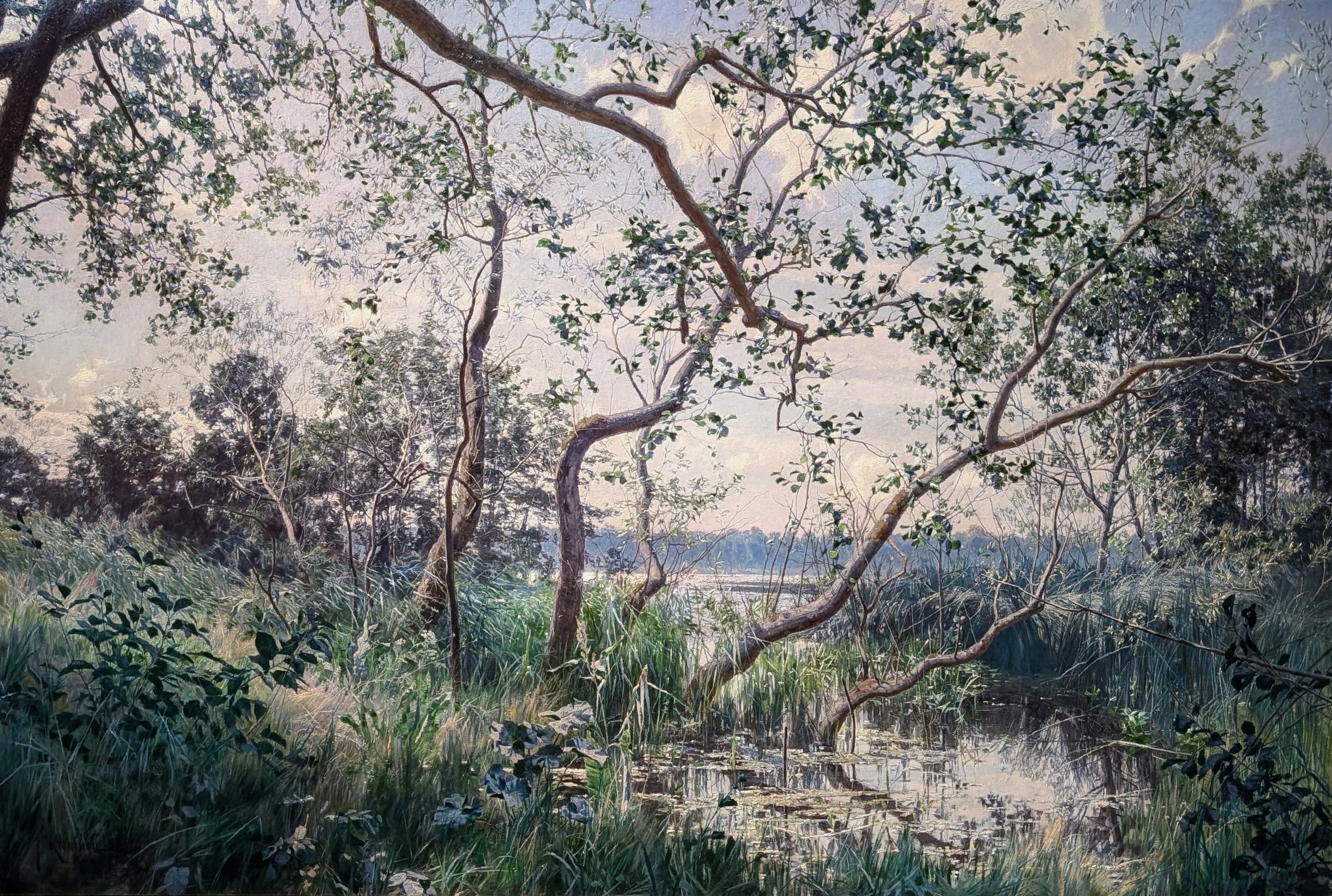 Vattenvegetation, Motiv från Östergötland by Johan Krouthén