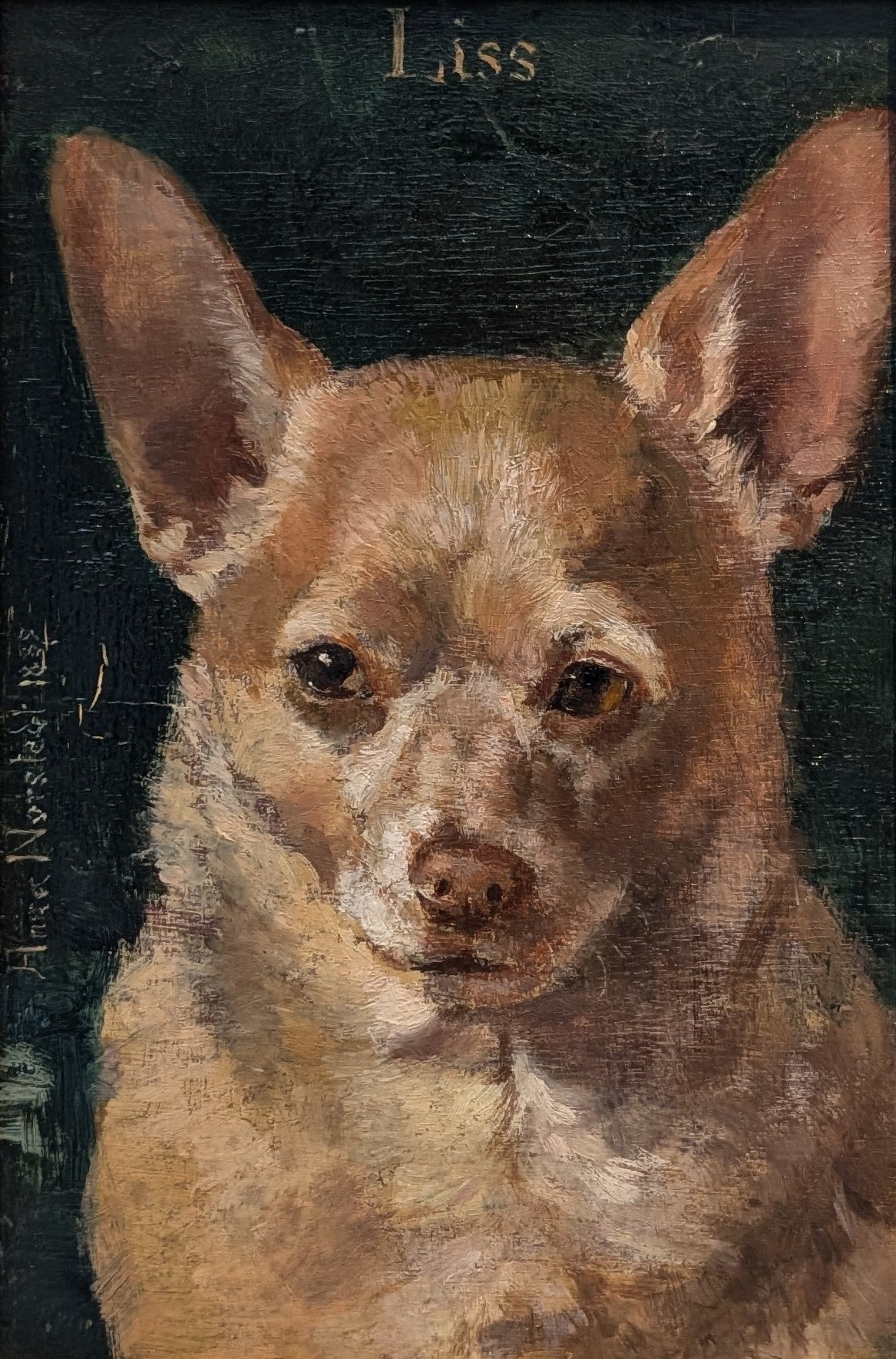 Liss by Anna Munthe-Norstedt