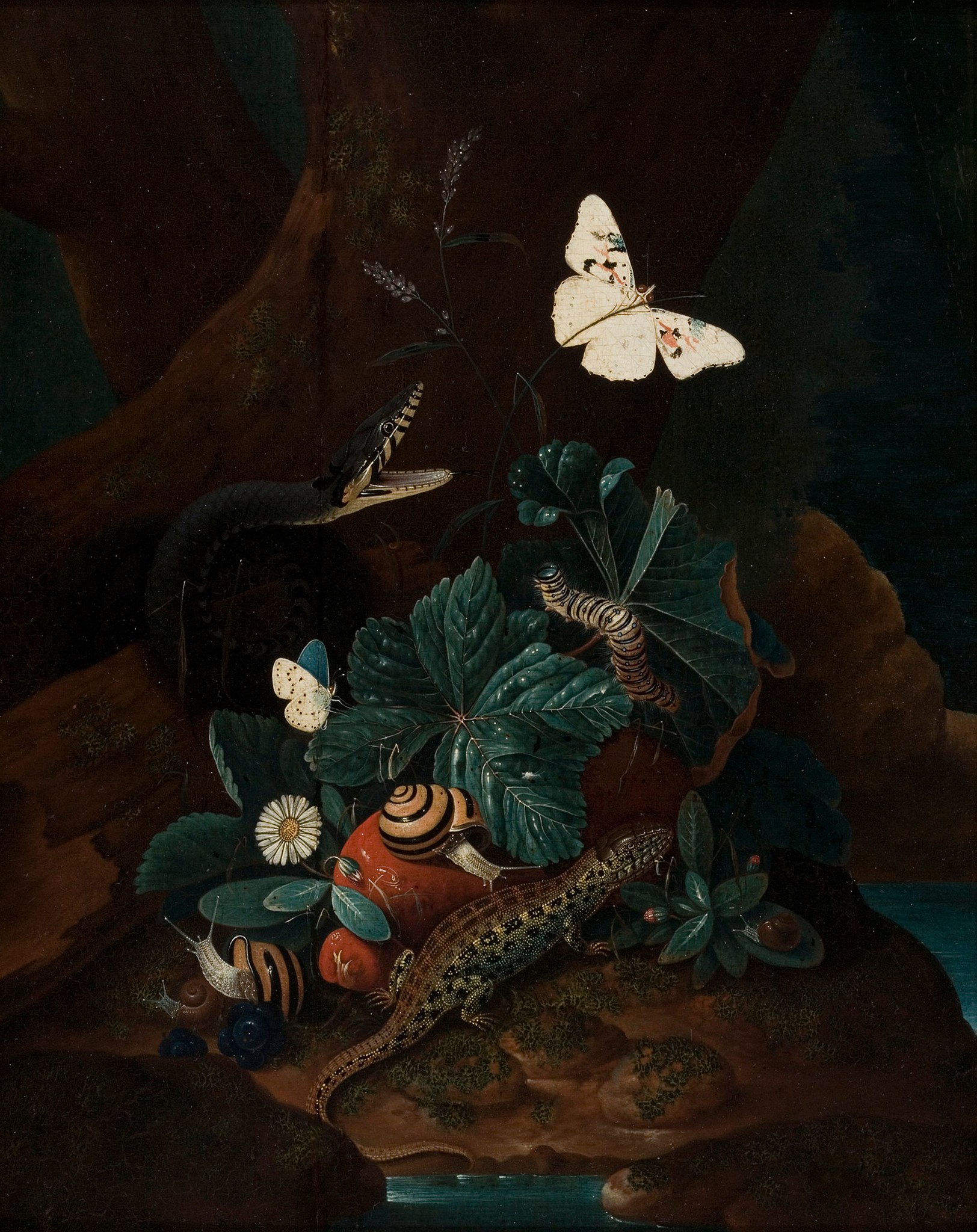 Forest Floor Still Life, Karl Wilhelm de Hamilton