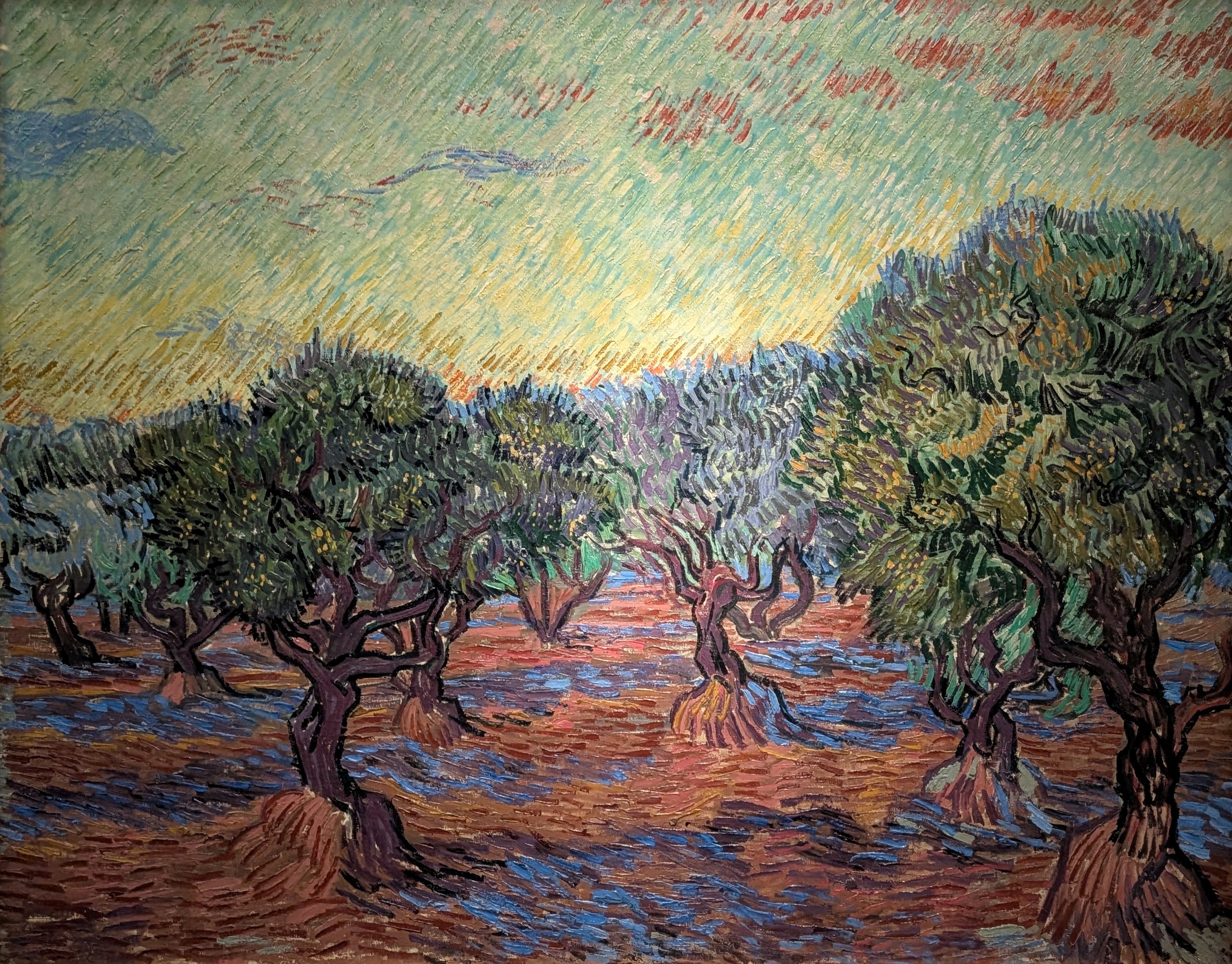 Olive Grove, Saint-Rémy by Vincent Van Gogh