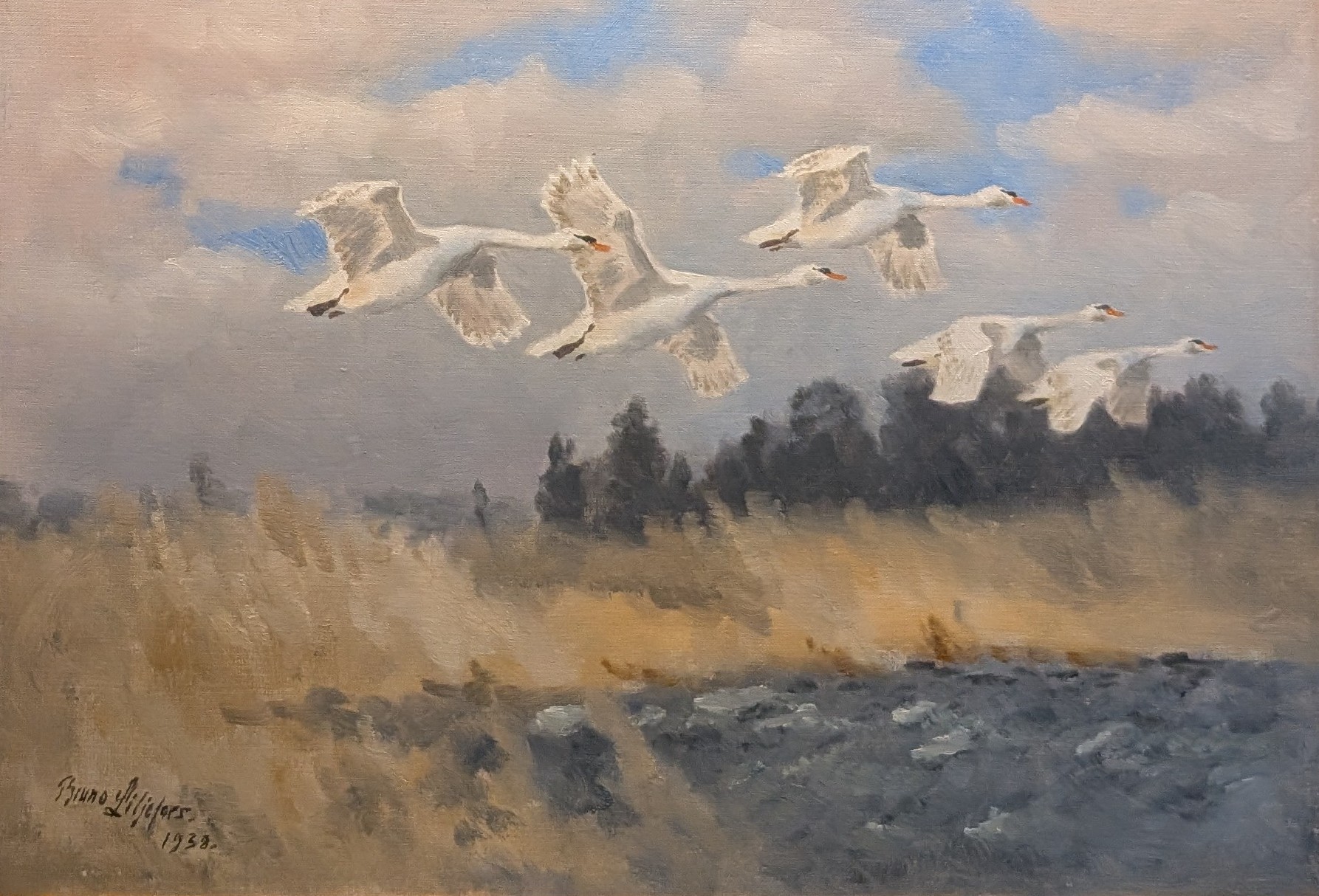 Sångsvanar i flykt by Bruno Liljefors