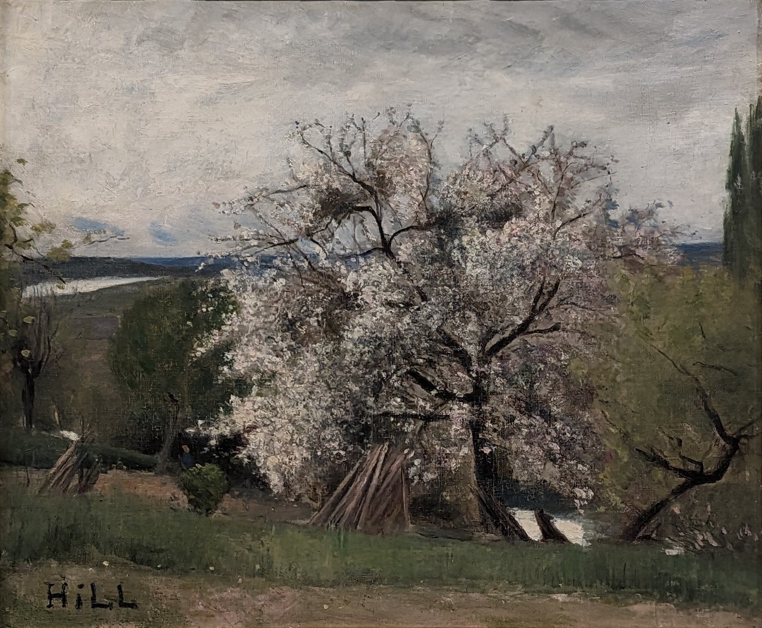 Blommande Fruktträd, Bois-Le-Roi by Carl Fredrik Hill