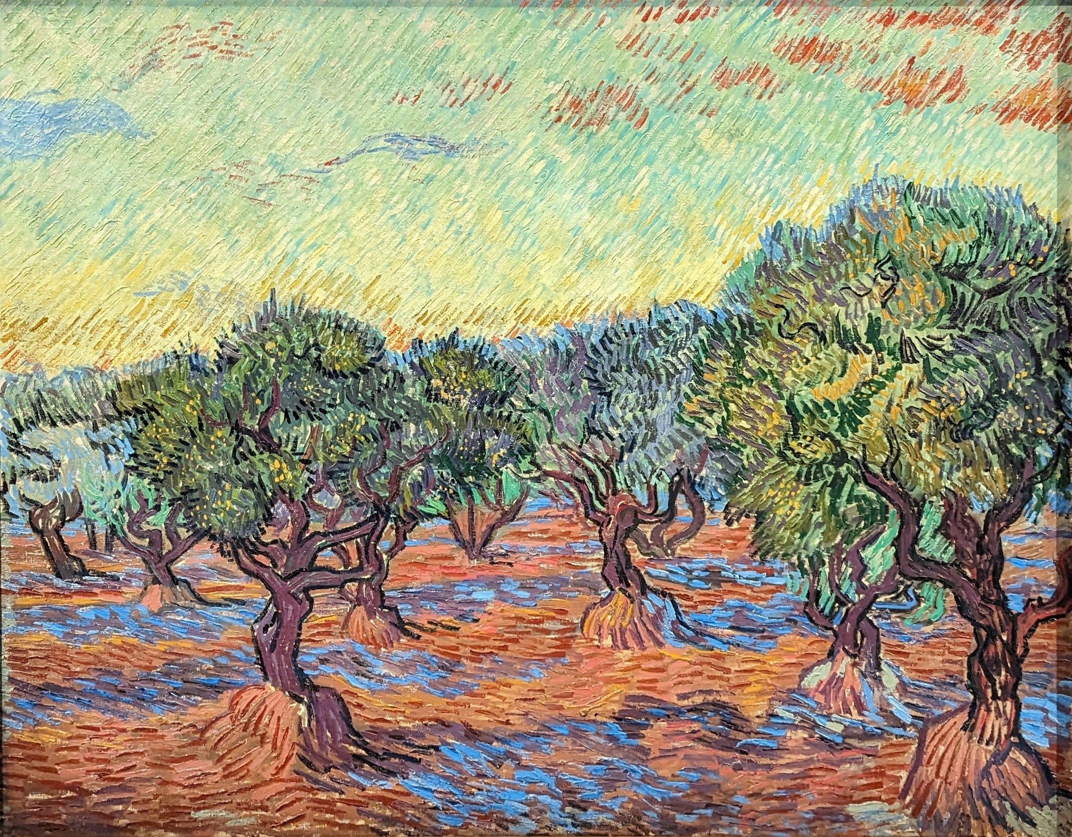 Olive Grove, Saint-Rémy by Vincent Van Gogh