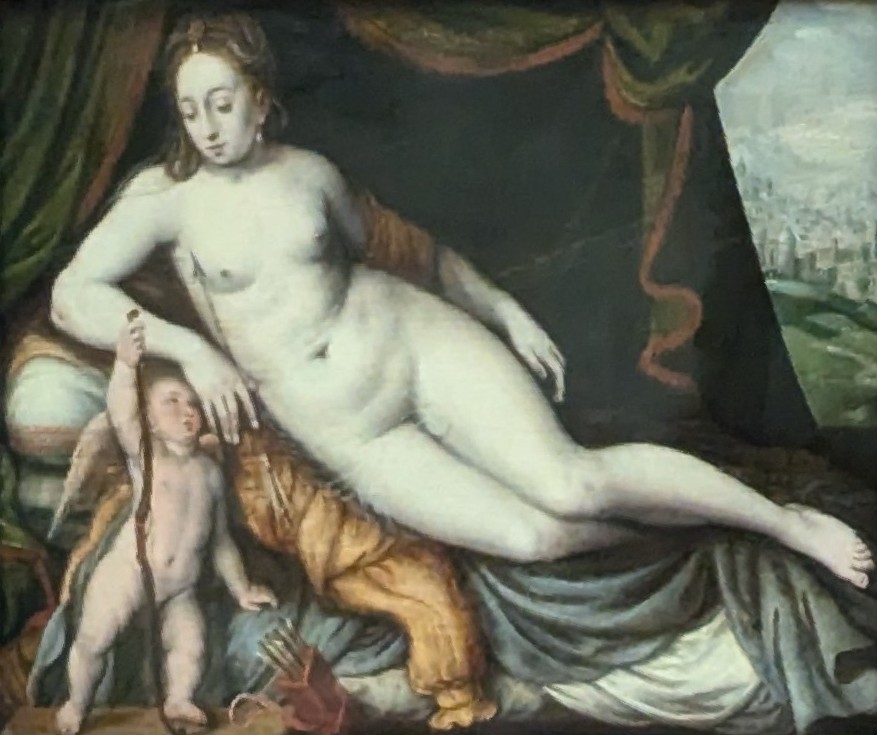 Venus and Amor by Frans Floris