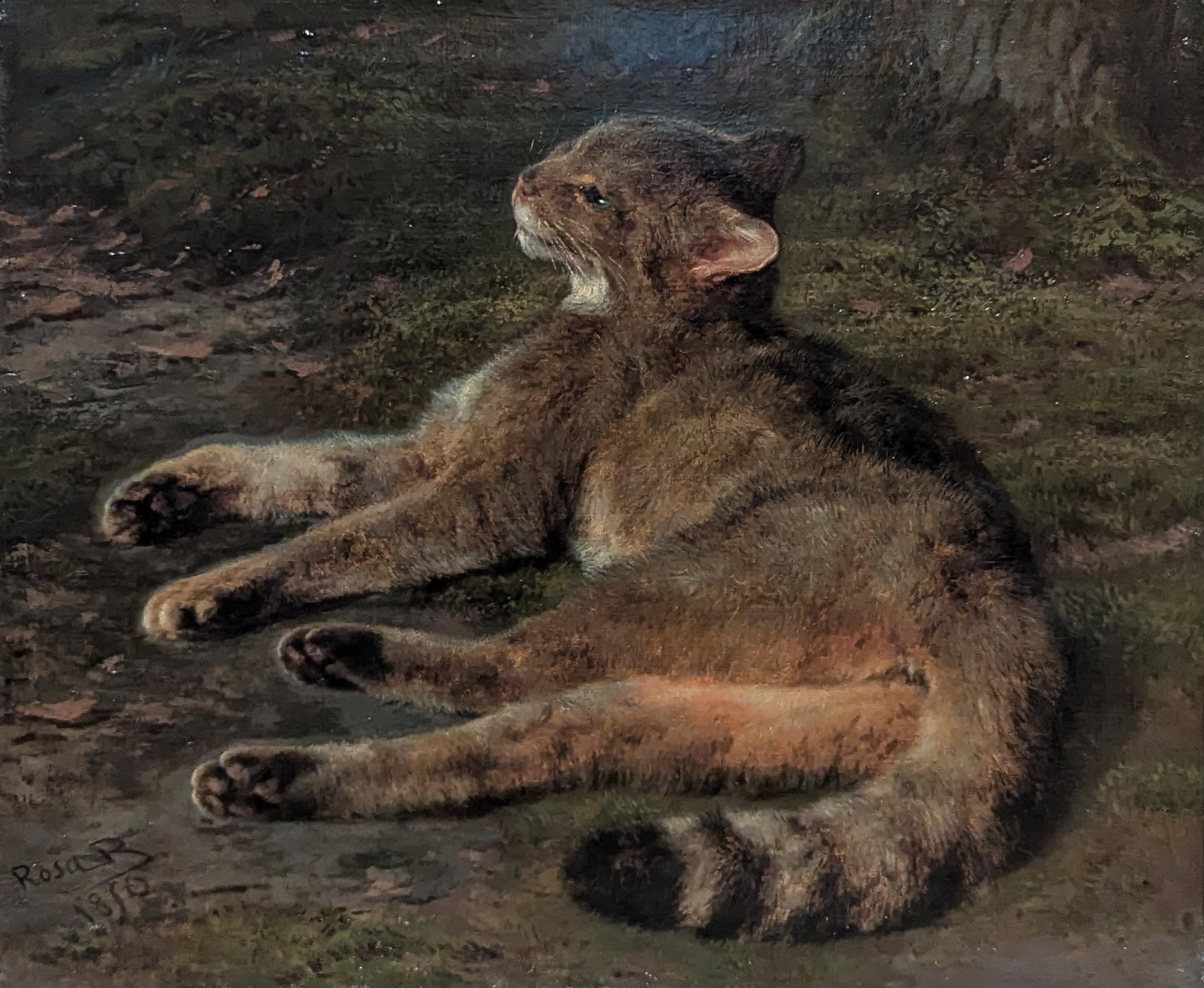 Wild Cat by Rosa Bonheur