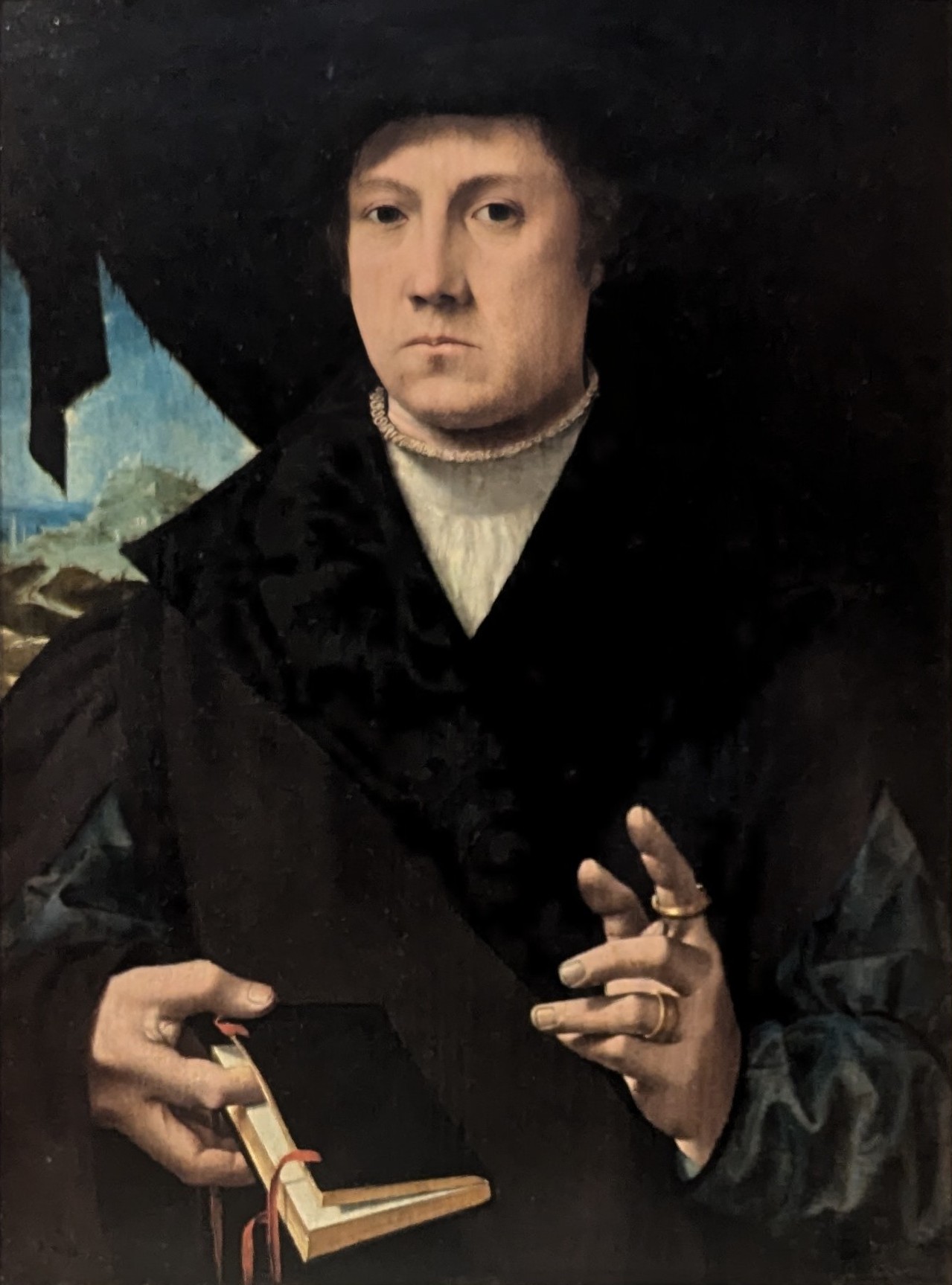 Johannes Mellinchus by Jan van Scorel